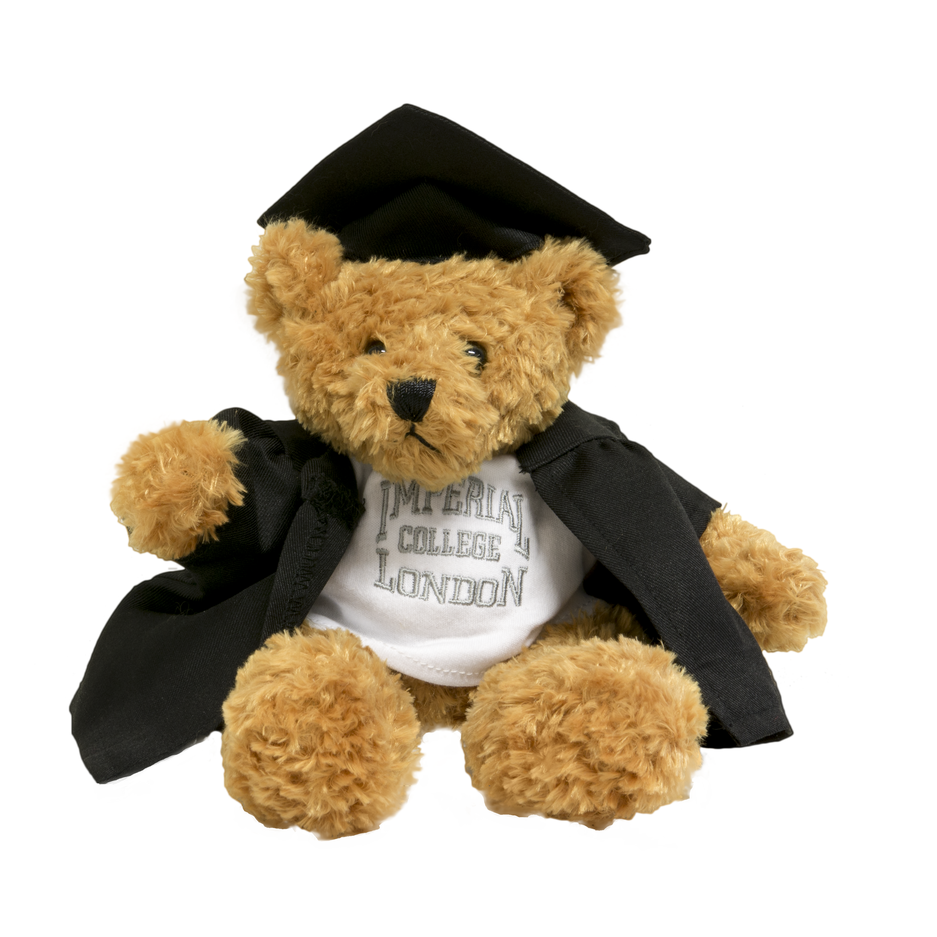 graduation teddy bear