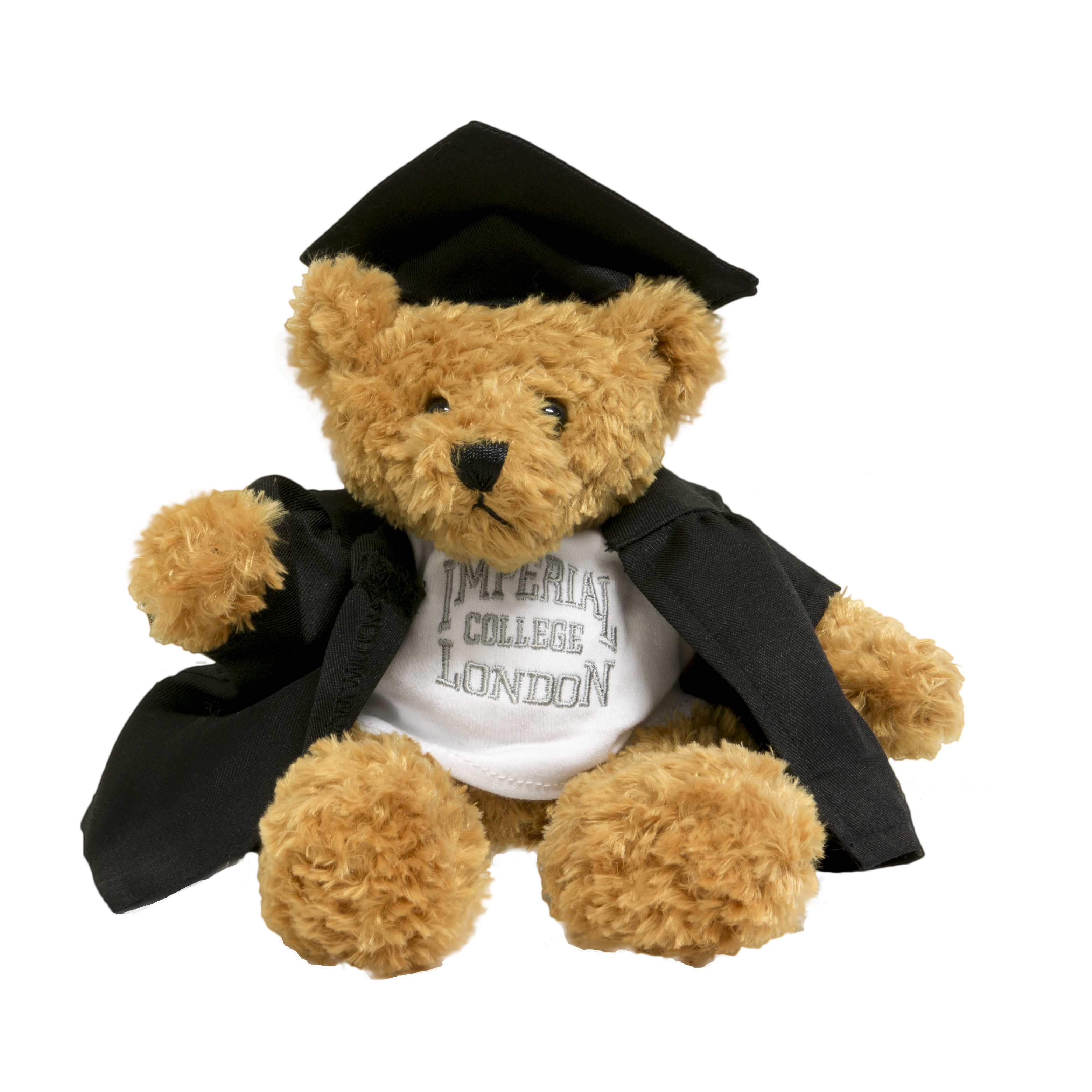 grad teddy bear