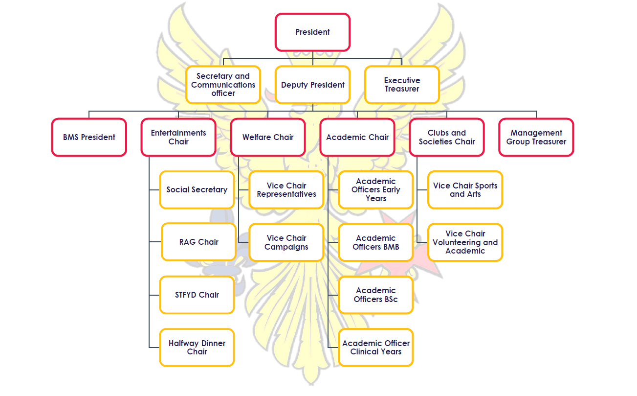 ICSMSU Organogram